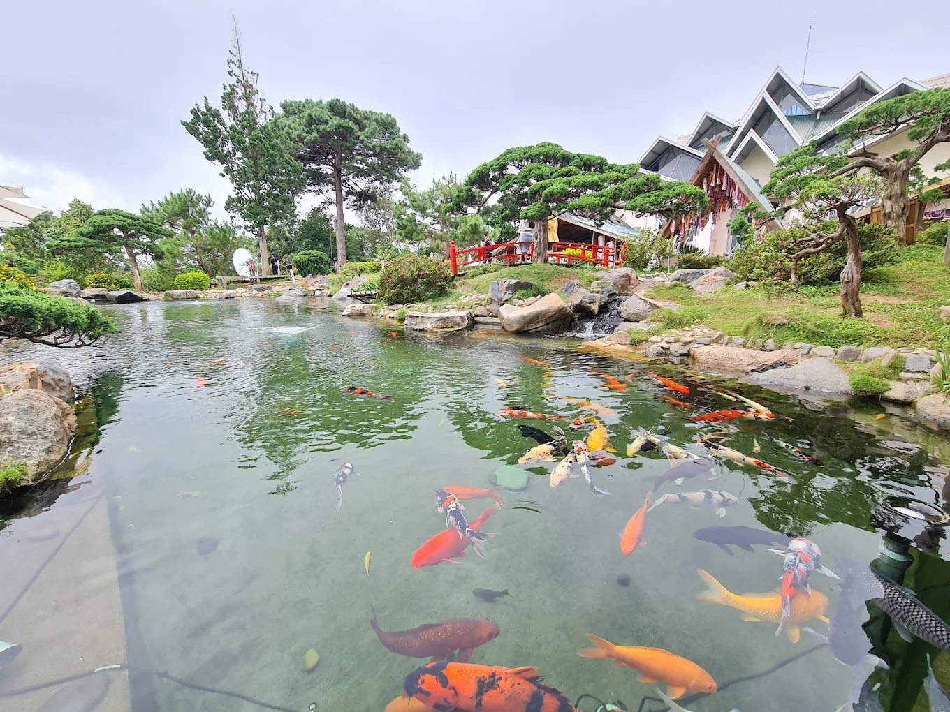 Khu Du Lịch Lá Phong, 45 Đặng Thái Thân, Đà Lạt, Lâm Đồng